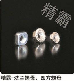 螺母 (5)