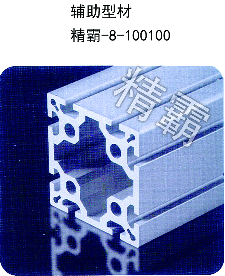 精霸-8-100100